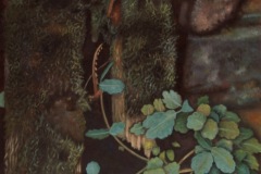 CELIDONIAS . Óleo sobre lienzo 116 x 89 cm. 1988